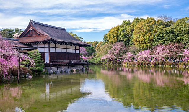 観光案内 平安神宮会館